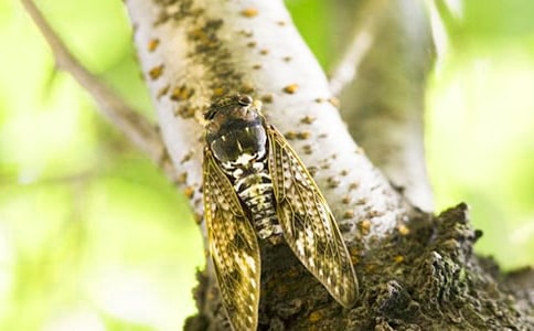 [����]׽֪������15ƪ