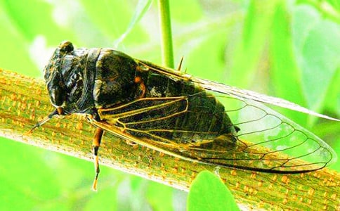 ֪��ѧ������