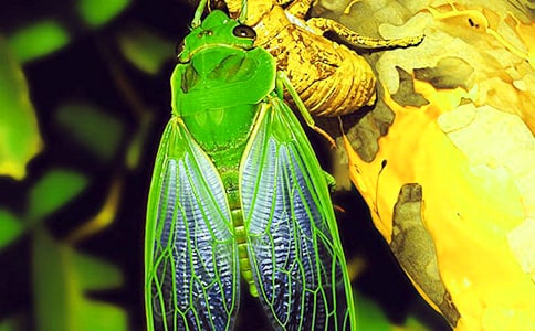 ׽֪�����ġ��ȡ�