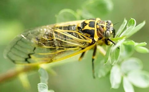 ׽֪����������(3ƪ)