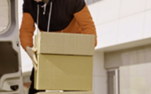 ְҵ�����Բ鱨��