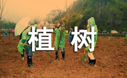 ֲ����򱨣���ѡ12ƪ��