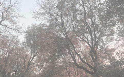 ֲ��԰�ռǷ��Ļ���7ƪ