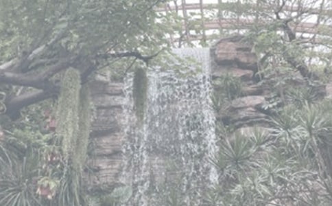 ����ֲ��԰�ռǼ��ϰ�ƪ