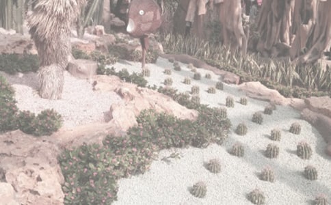 ֲ��԰�ķ羰Сѧ������400�֣�ͨ��70ƪ��