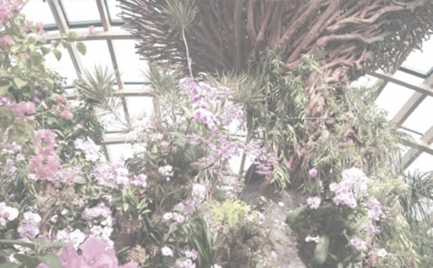 �Ҽҵġ�ֲ��԰������