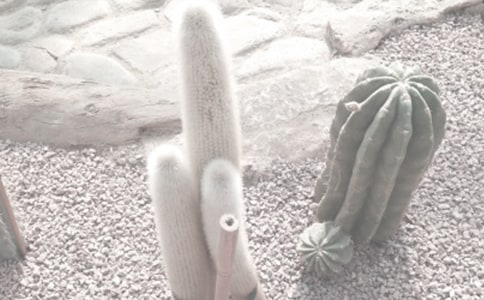 �й�ֲ��԰�ռǷ��ĺϼ���ƪ