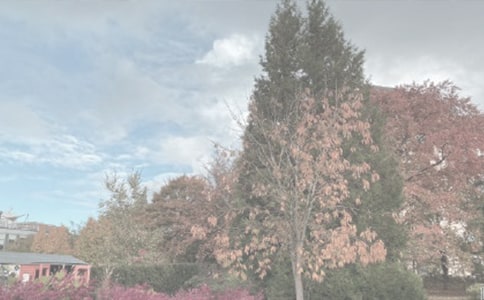 Сѧ��ֲ��԰�μ�����9ƪ