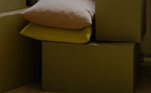 ��ѧ��ֽ�䳧ʵ�����棨��ѡ5ƪ��