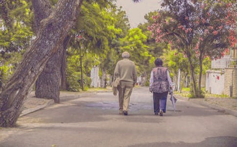 �����꼶�鳤�����ƻ�