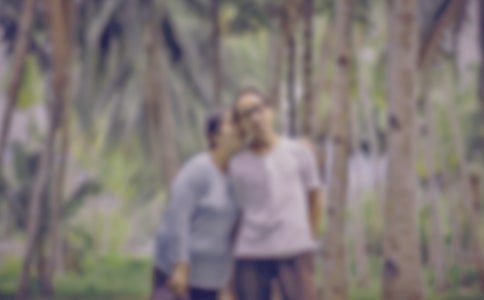 �����꼶�鳤�����ܽ�