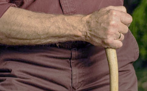 ������ȹ����ƻ�ģ�������ƪ