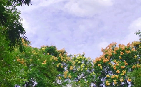 ��д�������