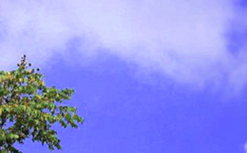 ��ѧ��������У��ŵ��