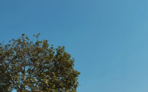 ��д����ľ���