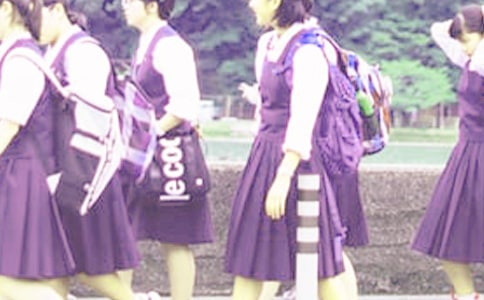 ����ѧ�������ܽ�(11ƪ)