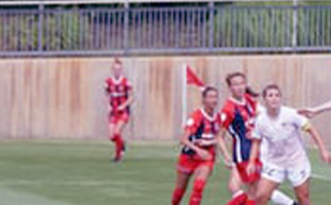 ��ѧ��Ӧ��ѧ��дʲô�������£���������н�ʵ��