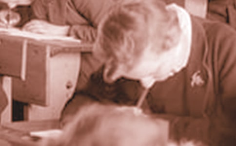 ��ѧ�������ܽ᡾����15ƪ��