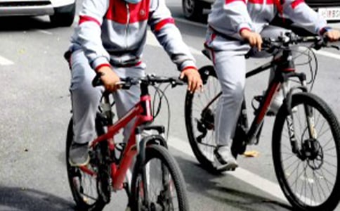 ����ѧ�������ܽ᷶�ģ���ѡ20ƪ��