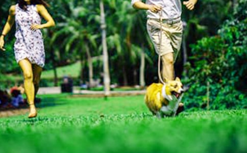 ���ڳ�һ��ĩ�ռ�4ƪ