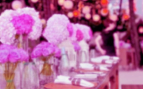 ʮ�������߻���