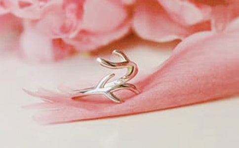 �鱦רҵʵϰ���淶��