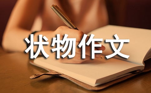 ��ѡ��һ״������300�ֽ���6ƪ