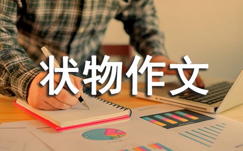 ���ر���״�����ļ���6ƪ