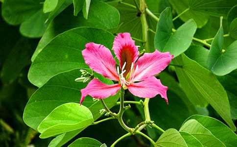 �Ͼ���������3ƪ