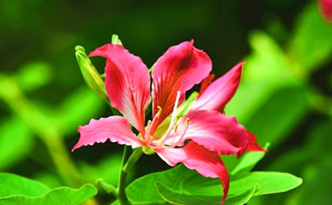 �����Ͼ���������