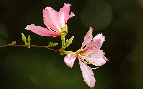 �Ͼ�������