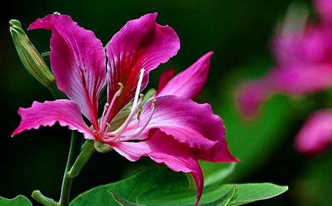 �Ͼ���������8ƪ