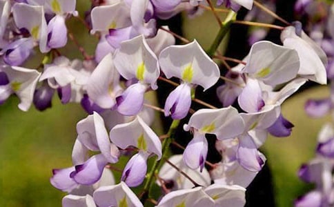 ��д���ٻ��ľ���