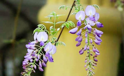 ��д���ٻ��ľ���10ƪ