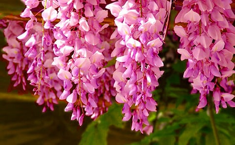 ���ٻ��������ģ���ѡ3ƪ��