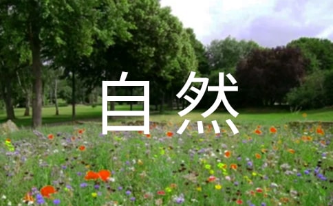 ��������Ȼ�ƶ�OO���깤���ܽ�