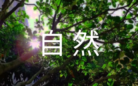 ץ��������Ȼ�ε�ѵ��