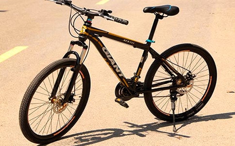 �������г������鷶�ģ�ͨ��12ƪ��