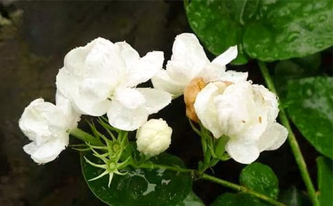 �Ҽҵ���������