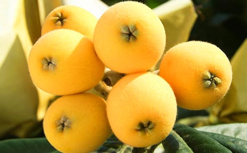 ժ�������ģ���ѡ��