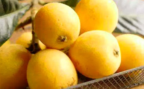 ժ�������ġ����š�