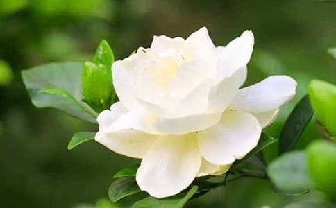 д���ӻ�������