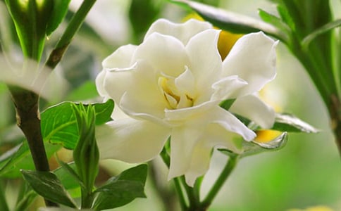 ���ӻ�������