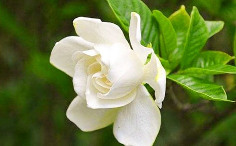 ���ӻ���������