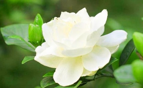 ���ڸ����ӻ�������