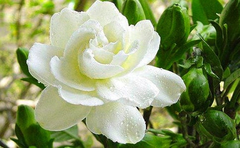 ���ӻ��ľ���