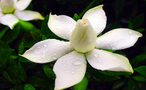 ���ӻ������ģ�ͨ��29ƪ��