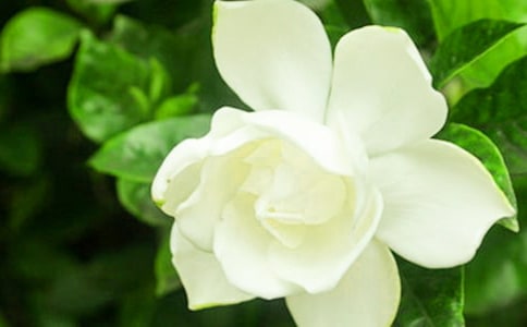 ���ӻ������ľ�ѡ15ƪ