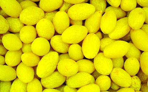 ��ζ���������