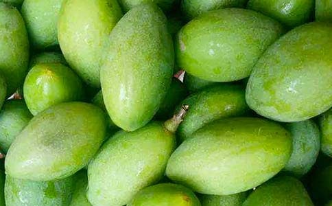 ��Ҳ�ι�һö��������ľ�ѡ��15ƪ��